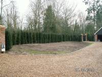 Swing Gates - project portfolio 68